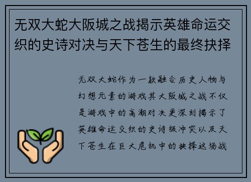 无双大蛇大阪城之战揭示英雄命运交织的史诗对决与天下苍生的最终抉择