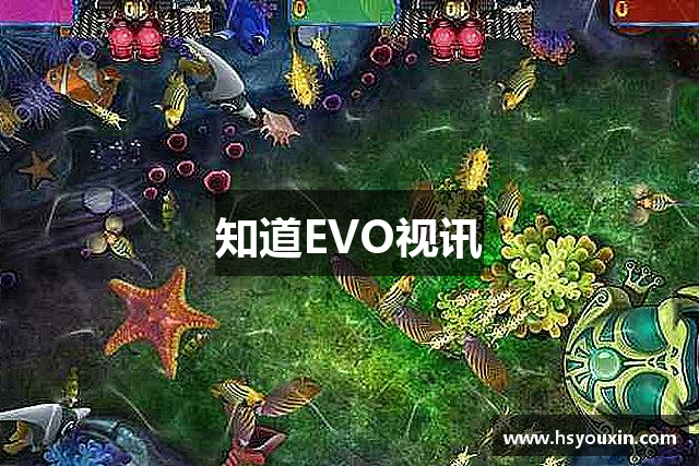 知道EVO视讯
